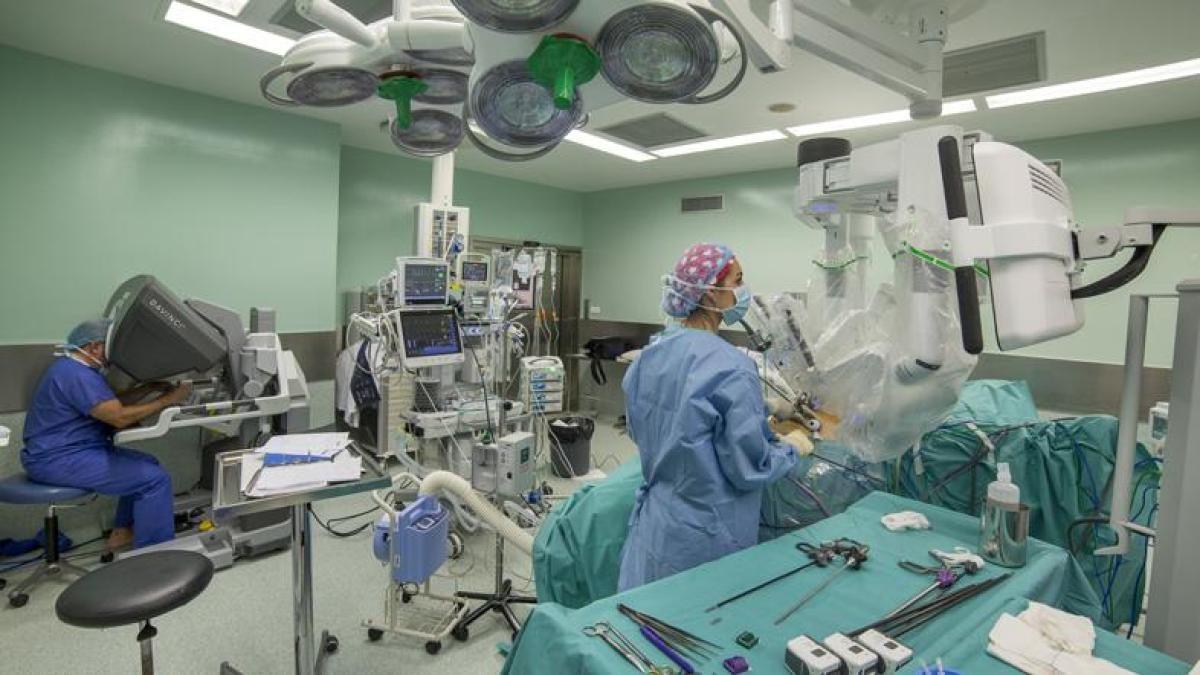 Um estudo fortalece um medicamento contra câncer de mama semelhante ao Cavalo de Troia.