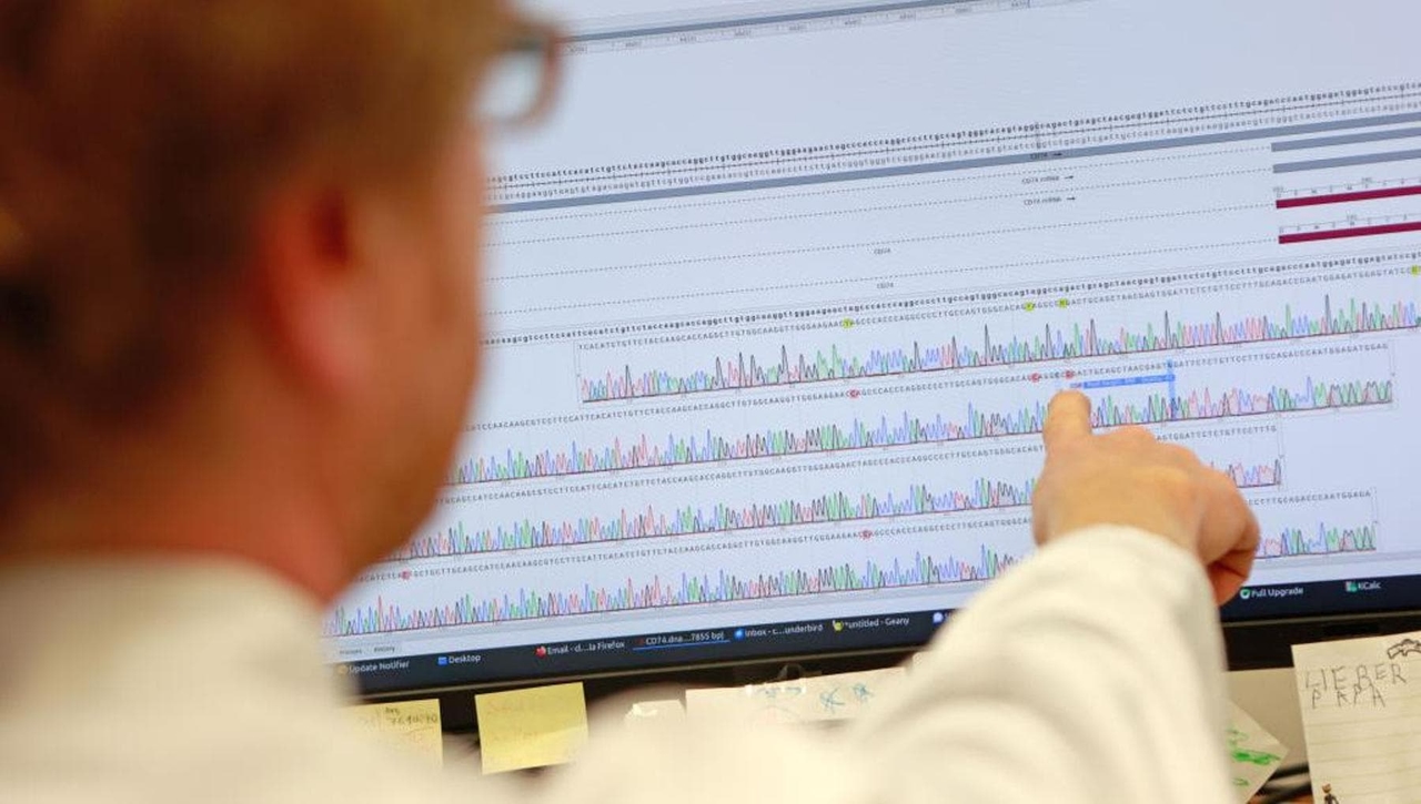 Вот гены холестерина, которые увеличивают риск сердечного приступа.